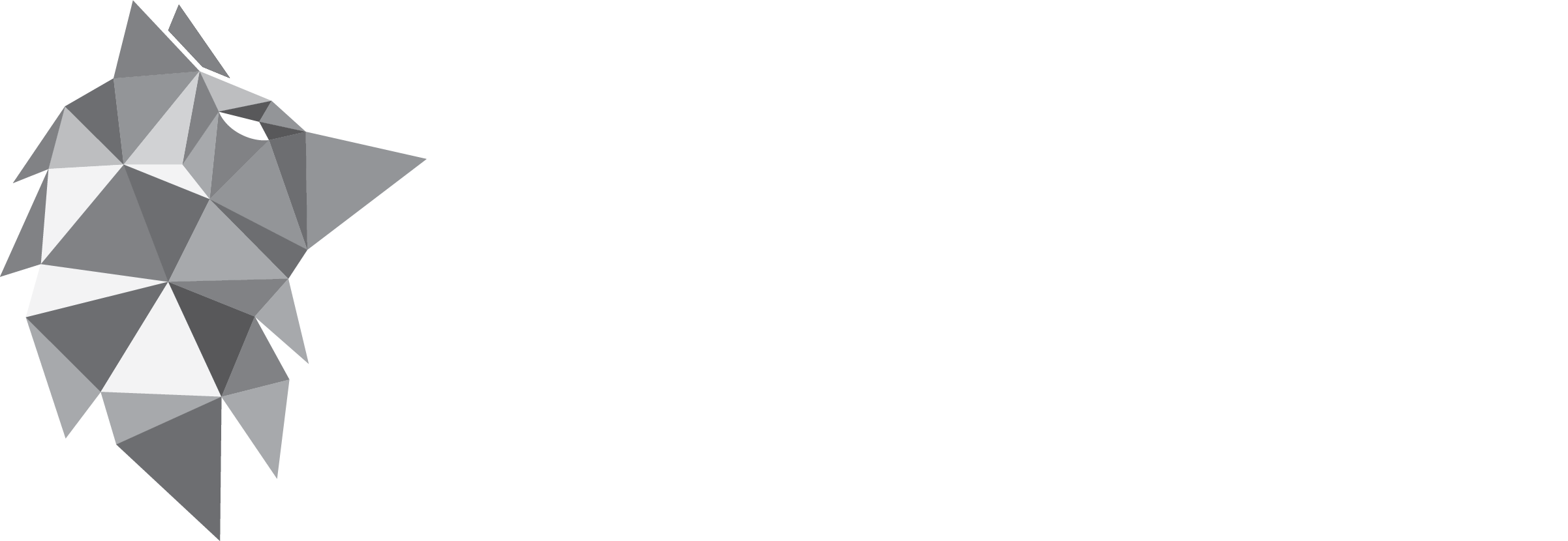 NetWolf Cyber Intelligence Advisers