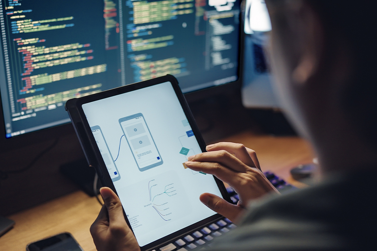 Software Website Development on Long Island, NY | Netwolf Cyber ...