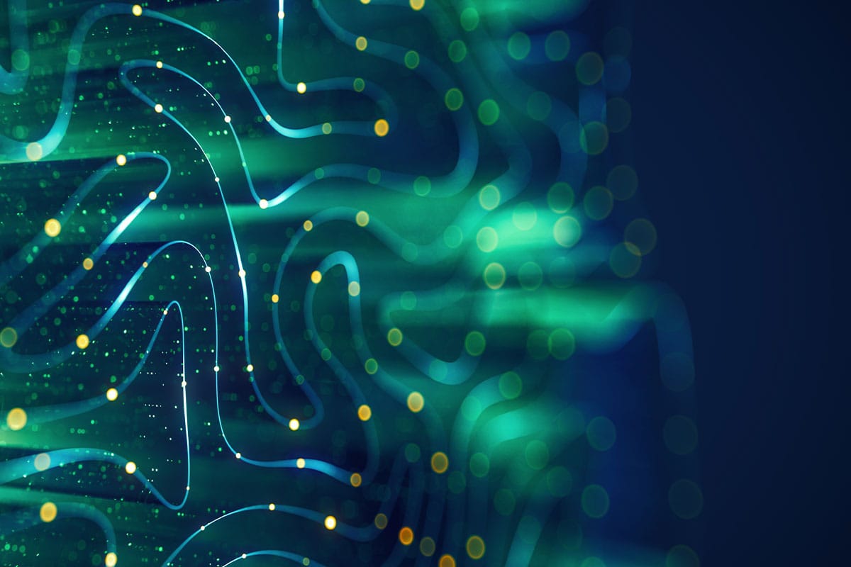 Dangers of Offshore IT and Untrusted Service Providers